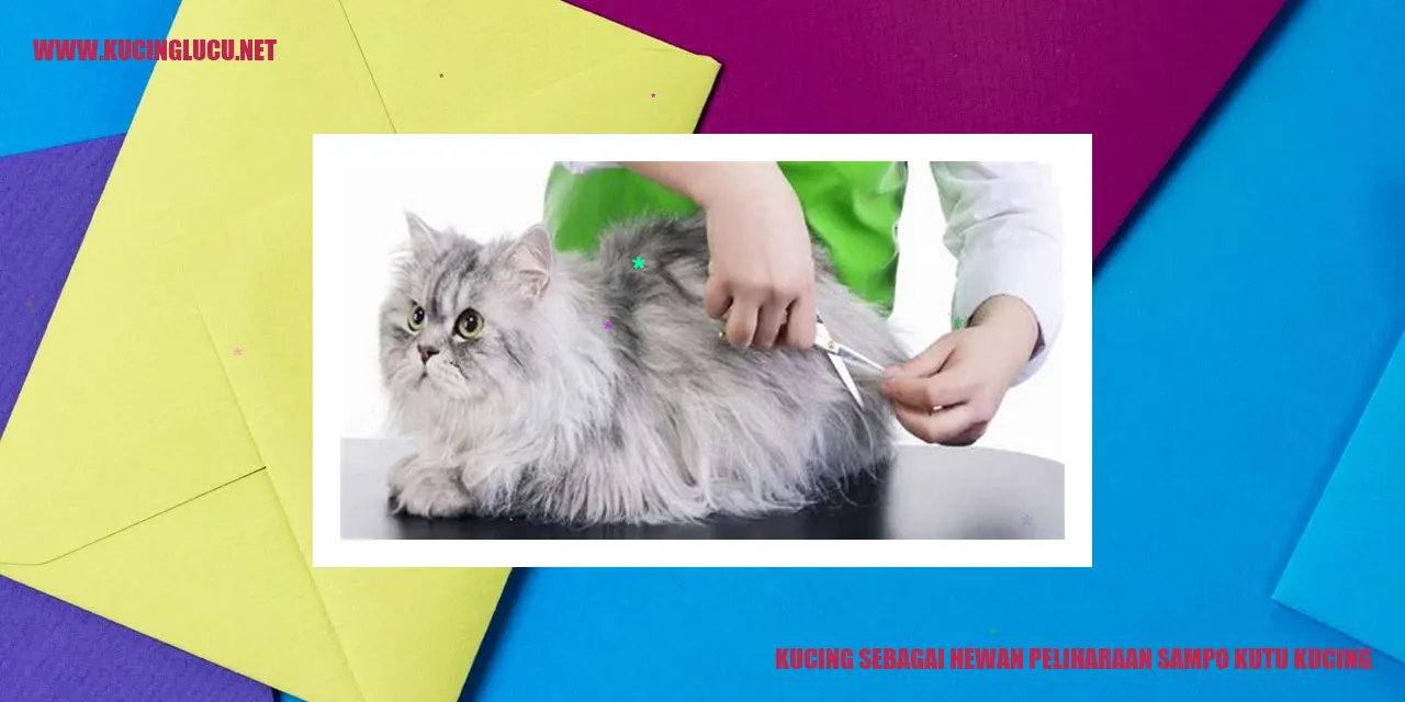 Kucing menggunakan sampo untuk menghilangkan kutu