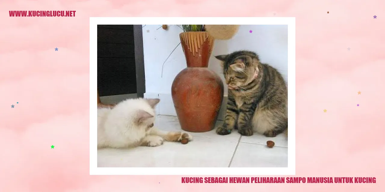 Gambar Kucing yang sedang berbaring