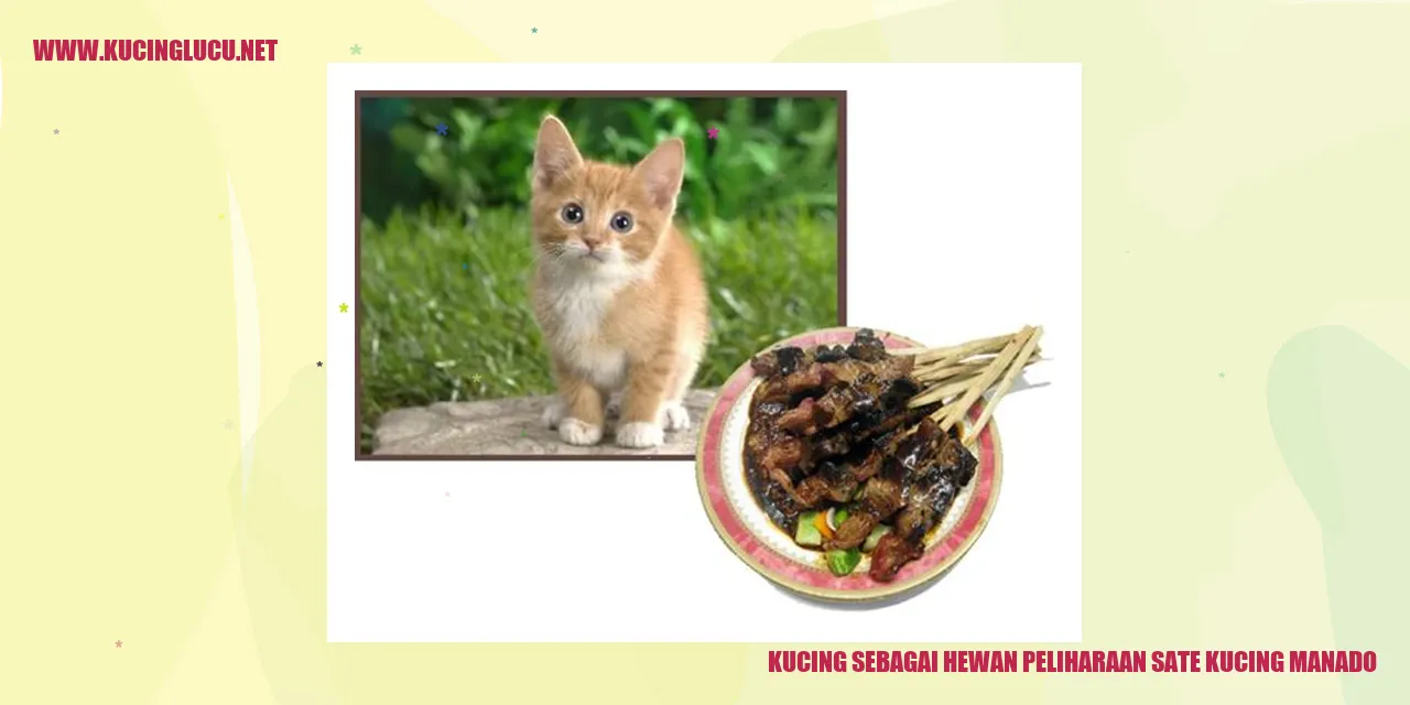 Gambar kucing yang lucu