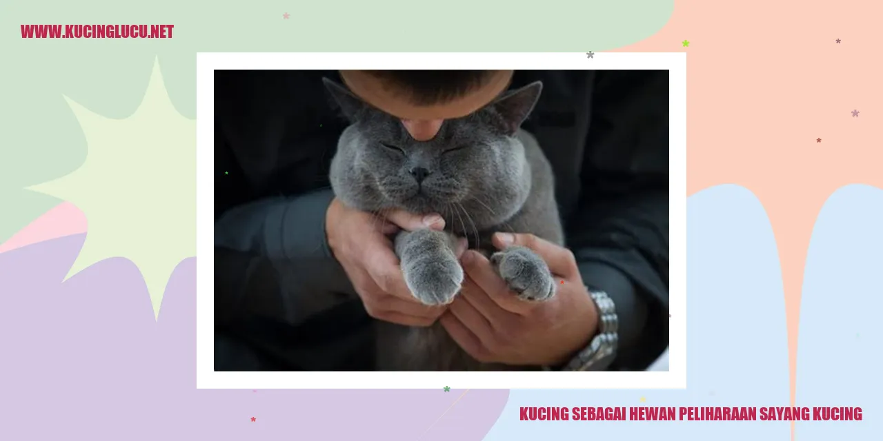 Gambar kucing