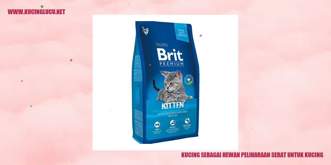 Kucing sebagai Hewan Peliharaan