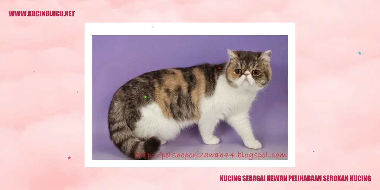 Gambar Kucing Bersama Hewan Peliharaan Lainnya