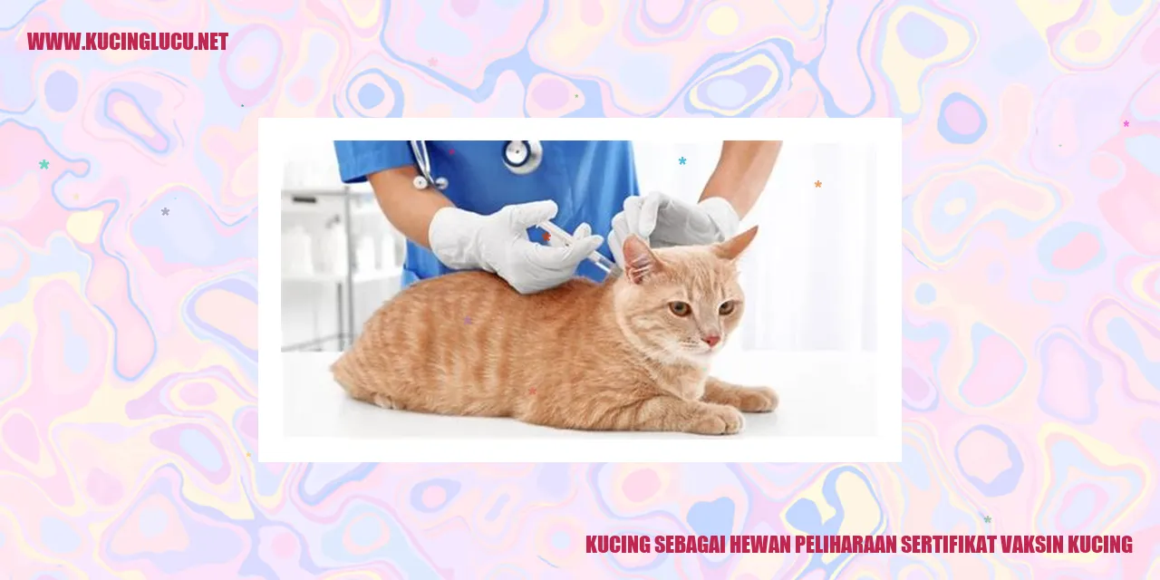 Gambar kucing dengan sertifikat vaksin