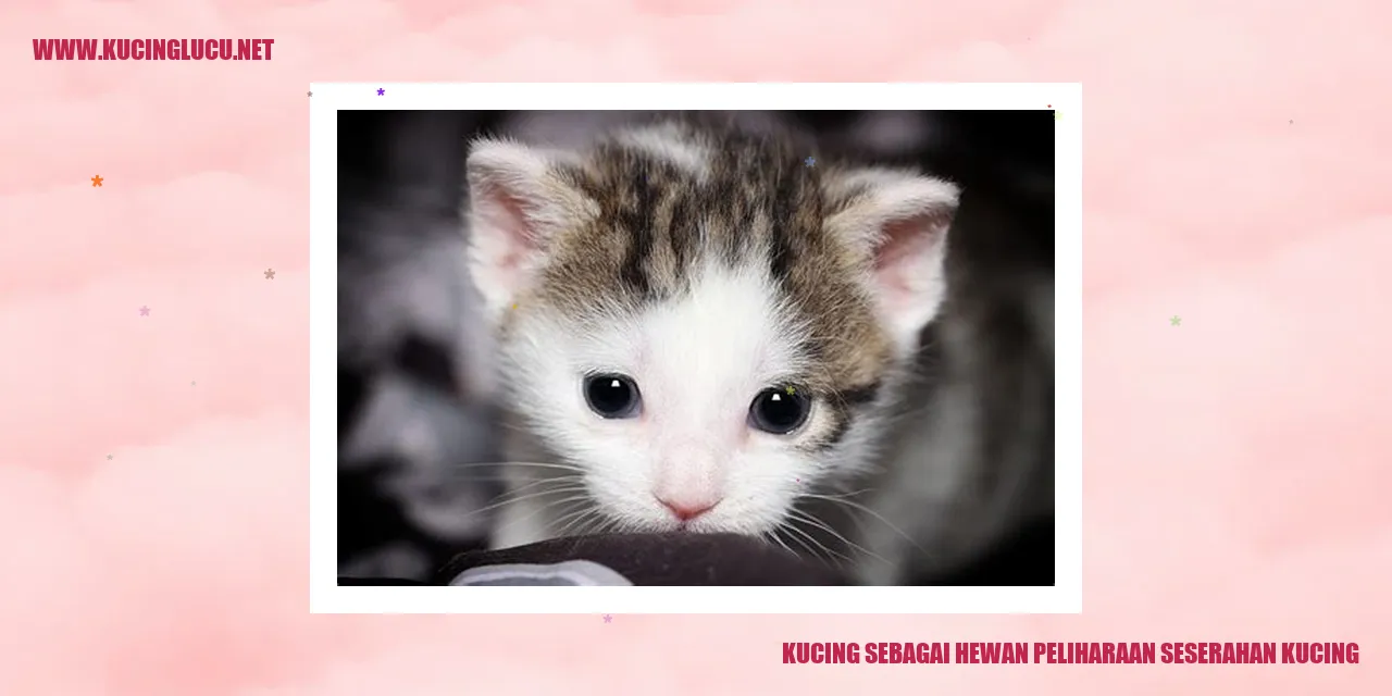 Kucing sebagai Hewan Peliharaan