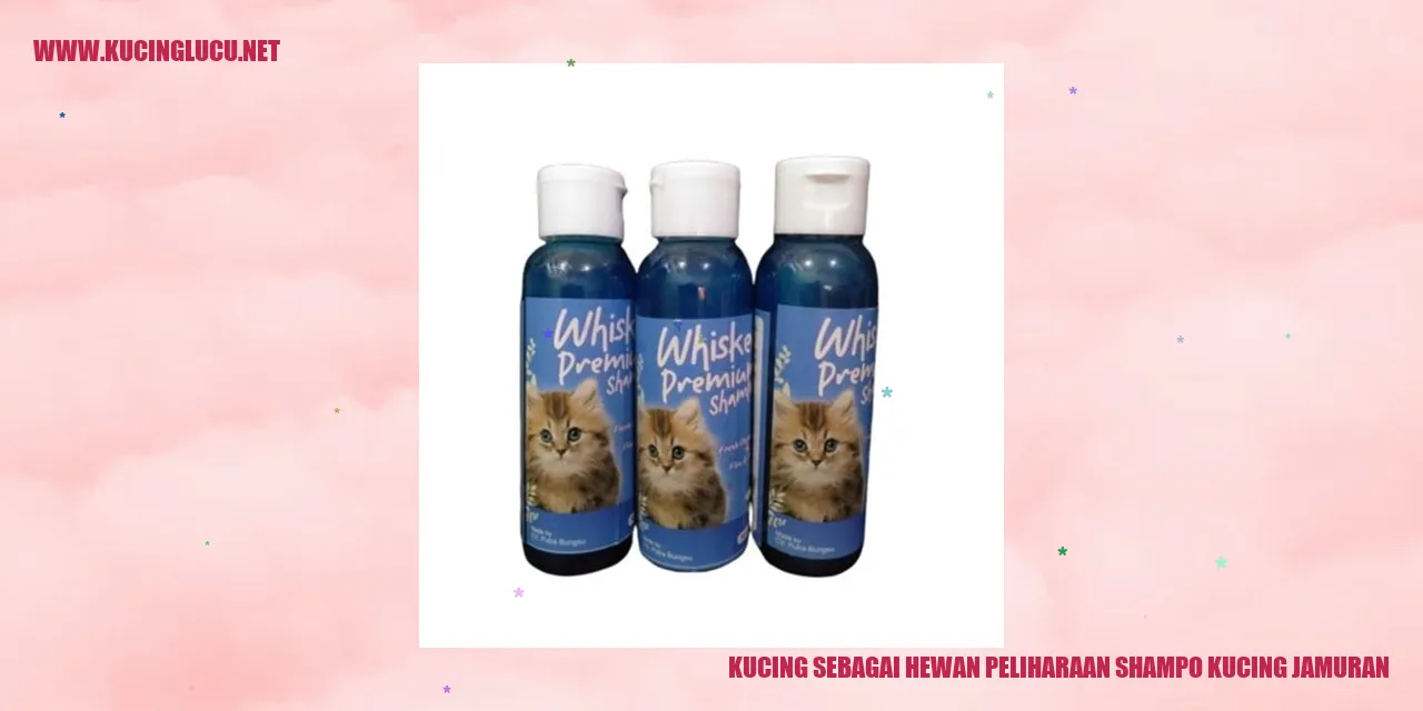 Kucing Piaraan