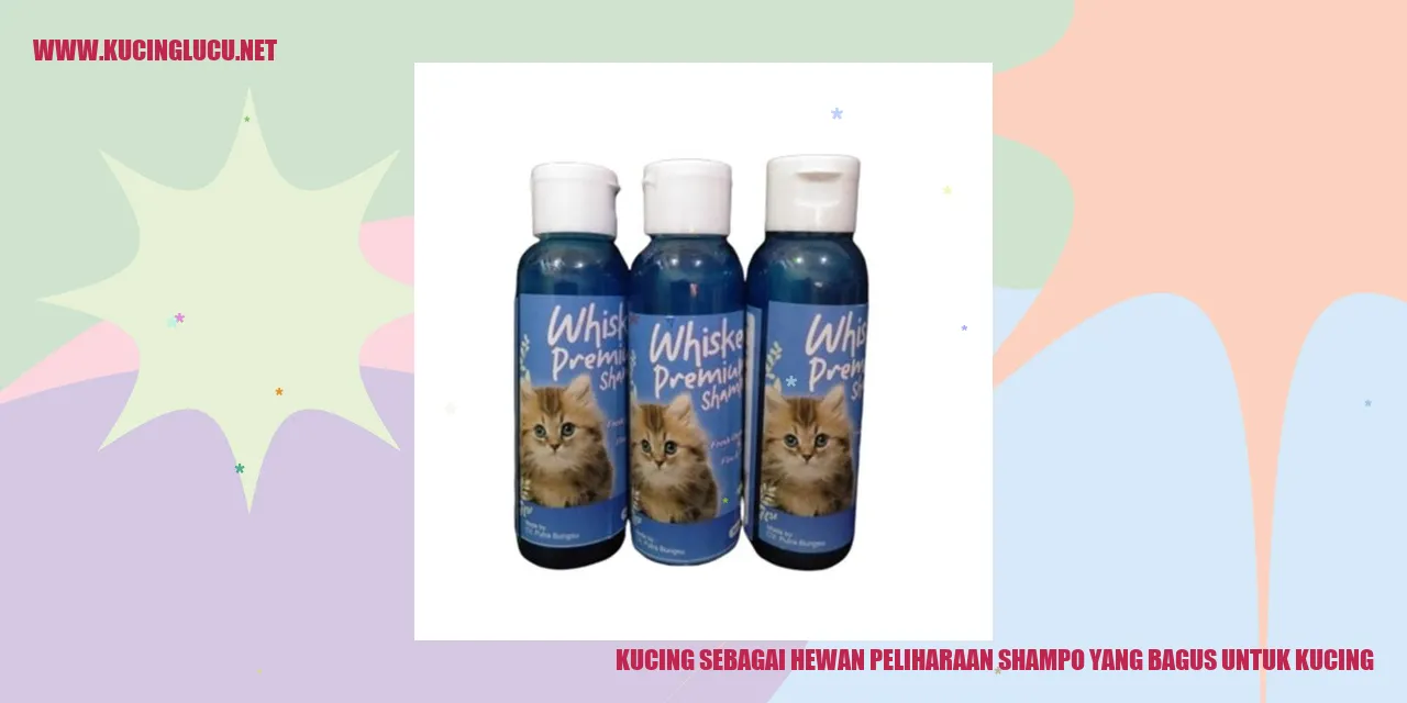Kucing bersih dengan shampo terbaik