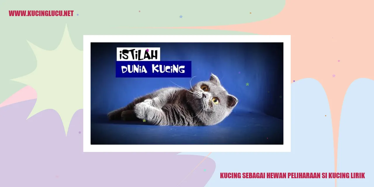 Gambar kucing lucu