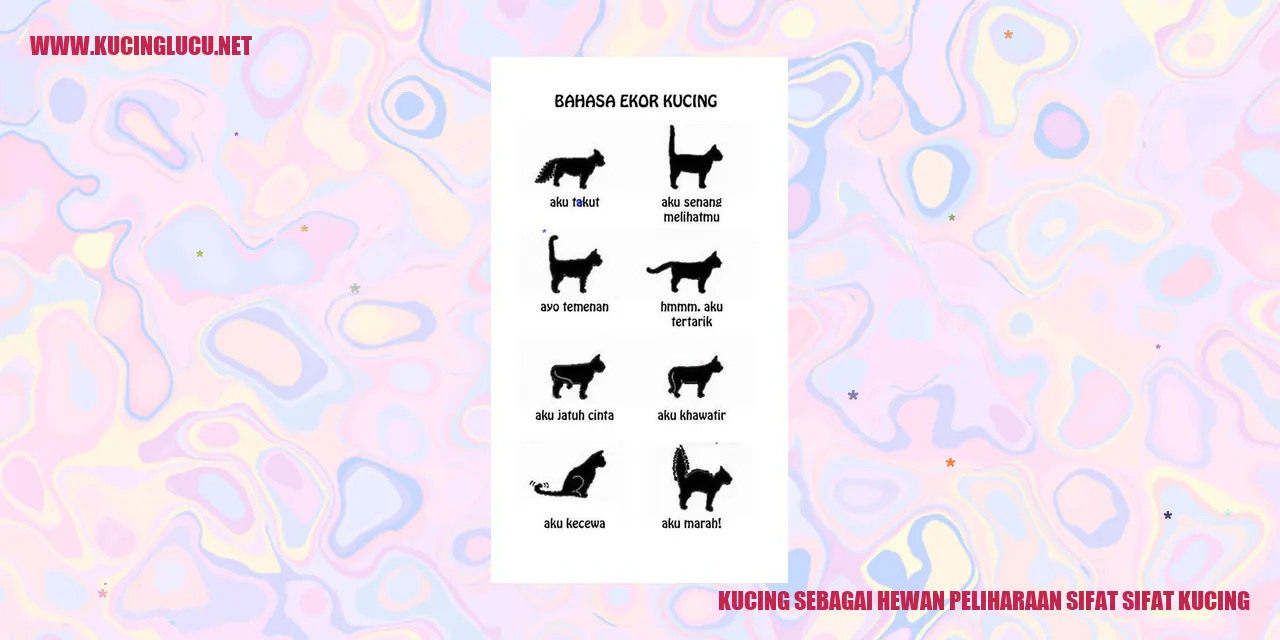 Gambar Kucing