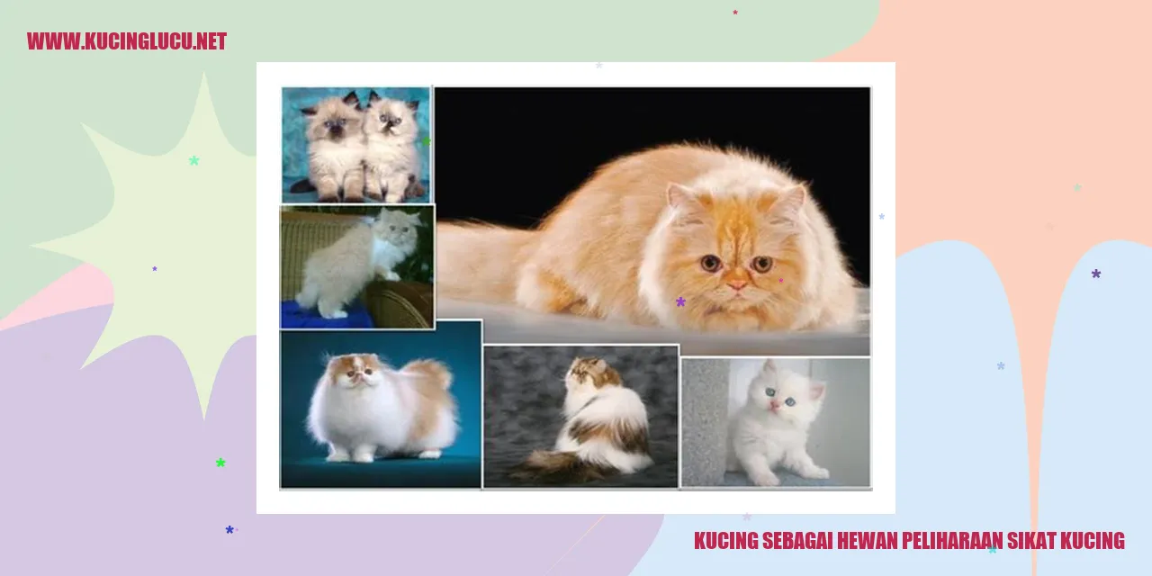 Kucing sebagai Hewan Peliharaan
