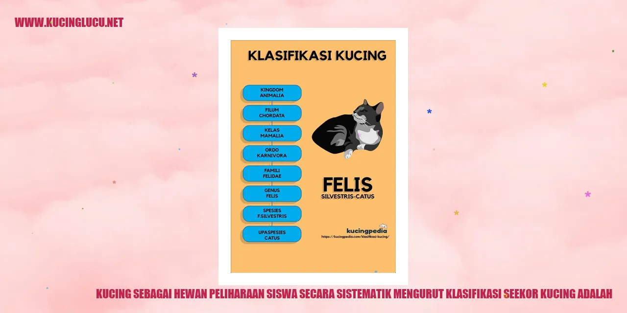 Ilustrasi Kucing