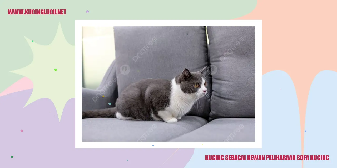 Gambar kucing yang menggemaskan