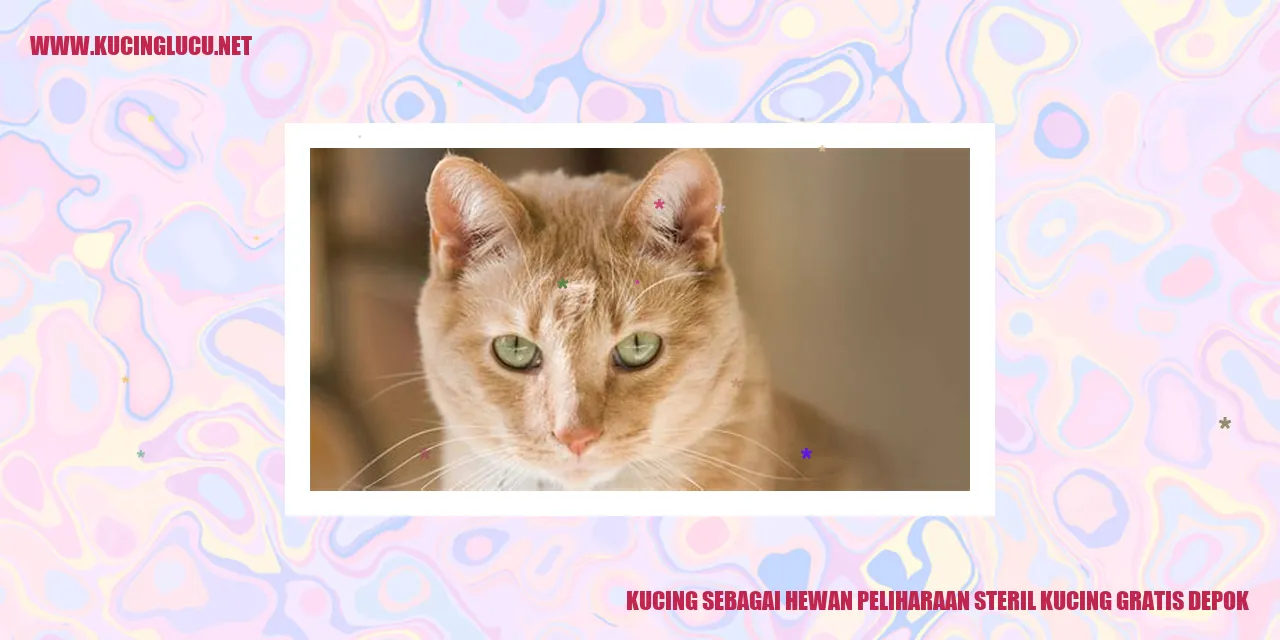 Kucing sebagai Hewan Peliharaan steril kucing gratis Depok