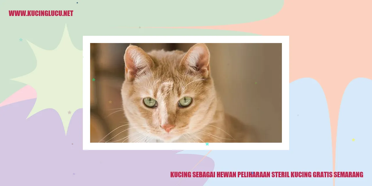 Kucing sebagai Hewan Peliharaan