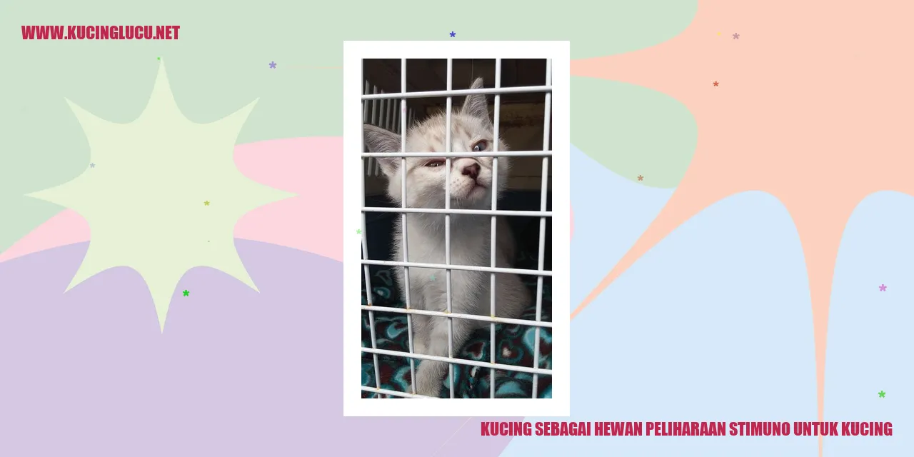 Kucing sebagai Hewan Peliharaan