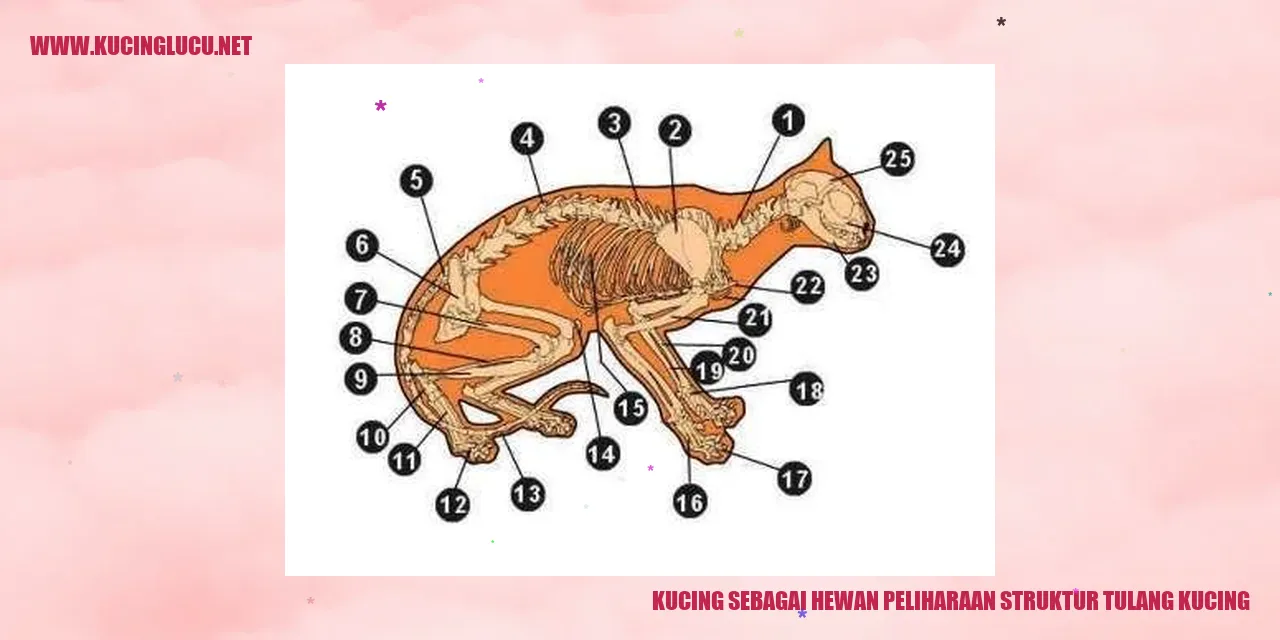 Kucing: Hewan Peliharaan yang Menarik dan Lincah