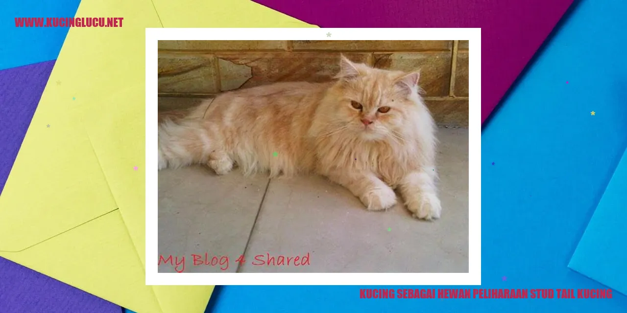 Kucing dengan ekor kacak
