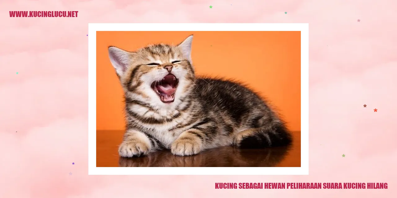 Gambar kucing sedang berada di taman