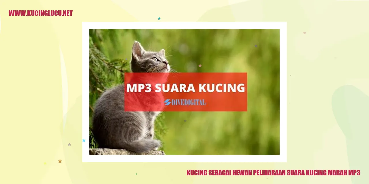 Gambar Kucing yang Menggemaskan