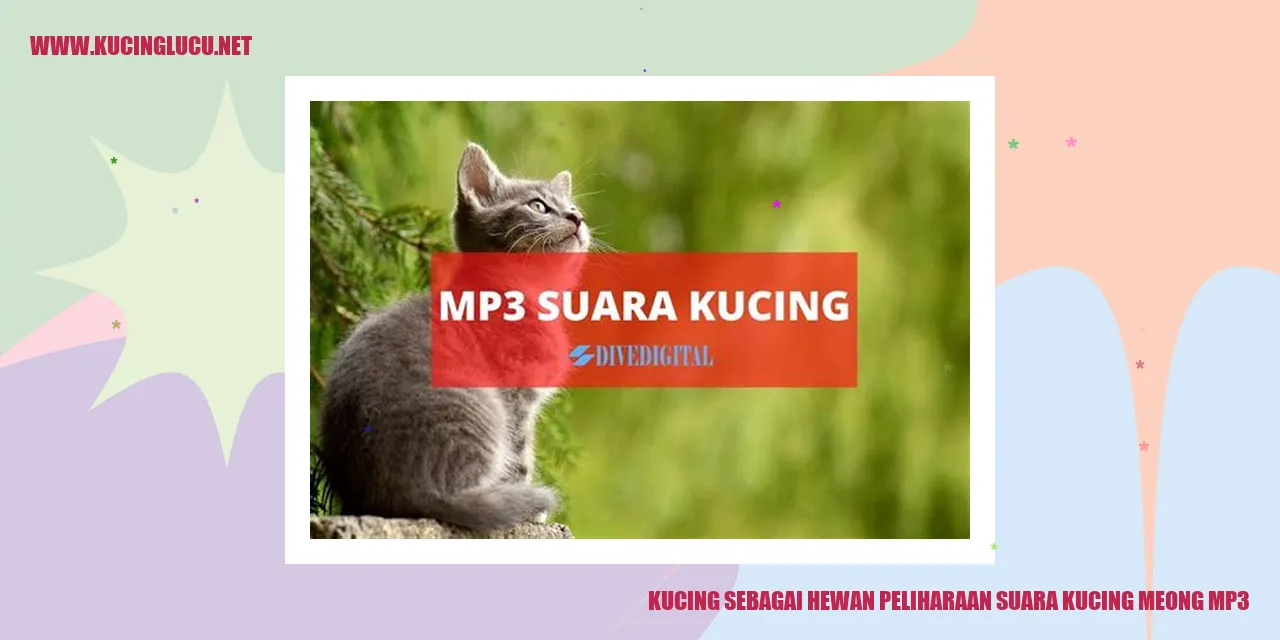 Gambar Kucing