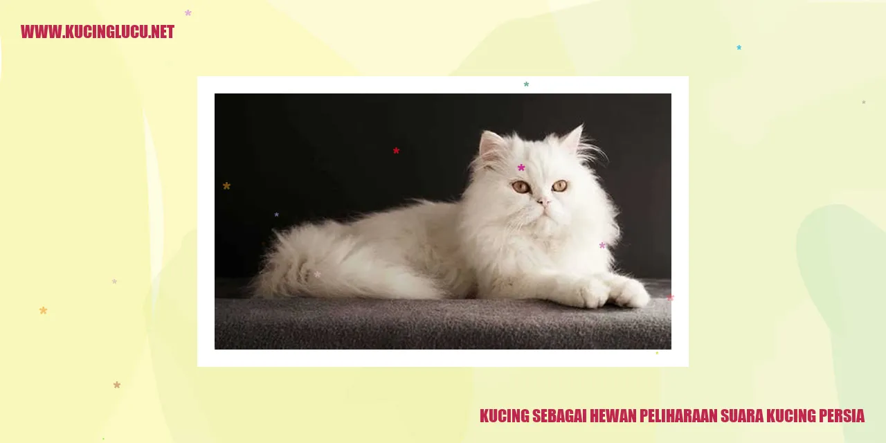 Kucing Persia, pesona suara mereka