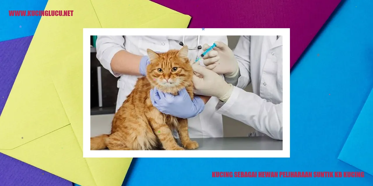 Gambar kucing peliharaan