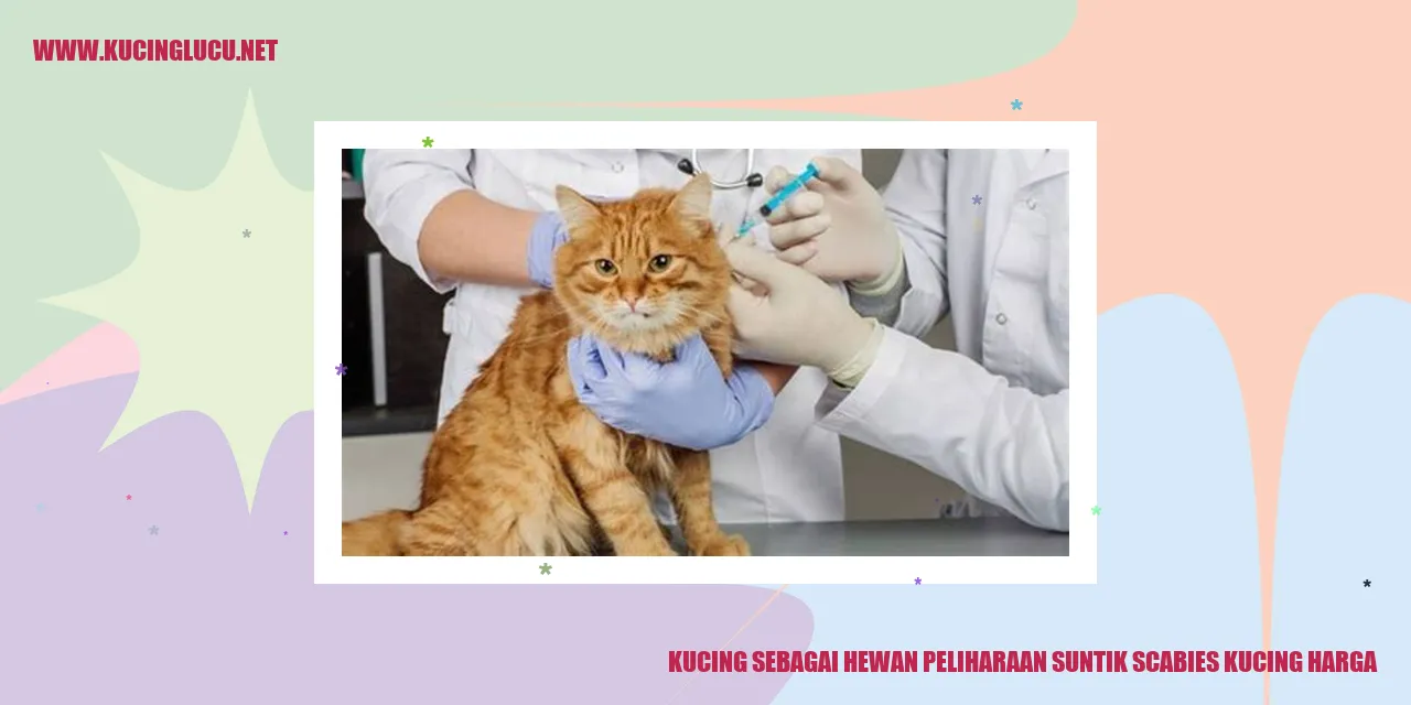 Kucing terkena scabies