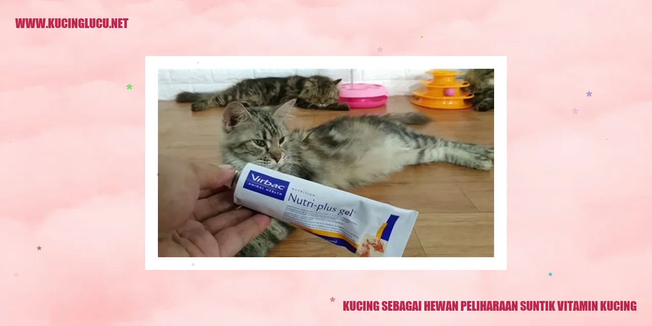 Gambar kucing sedang disuntik vitamin