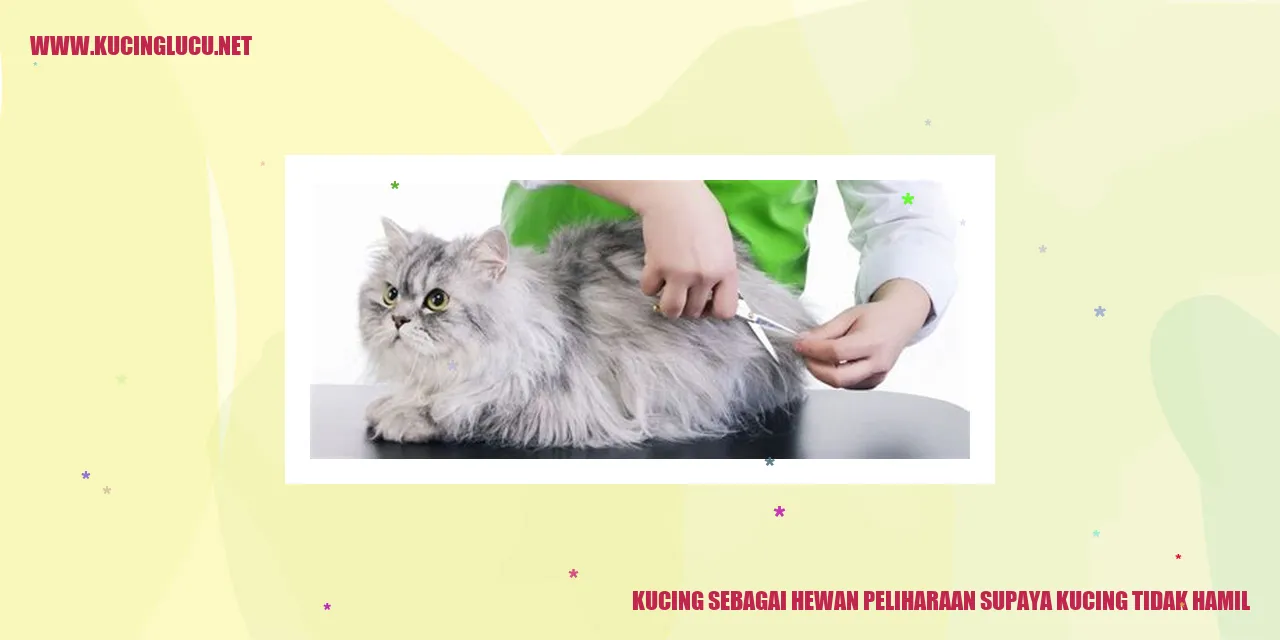 Kucing sebagai Hewan Peliharaan supaya kucing tidak hamil