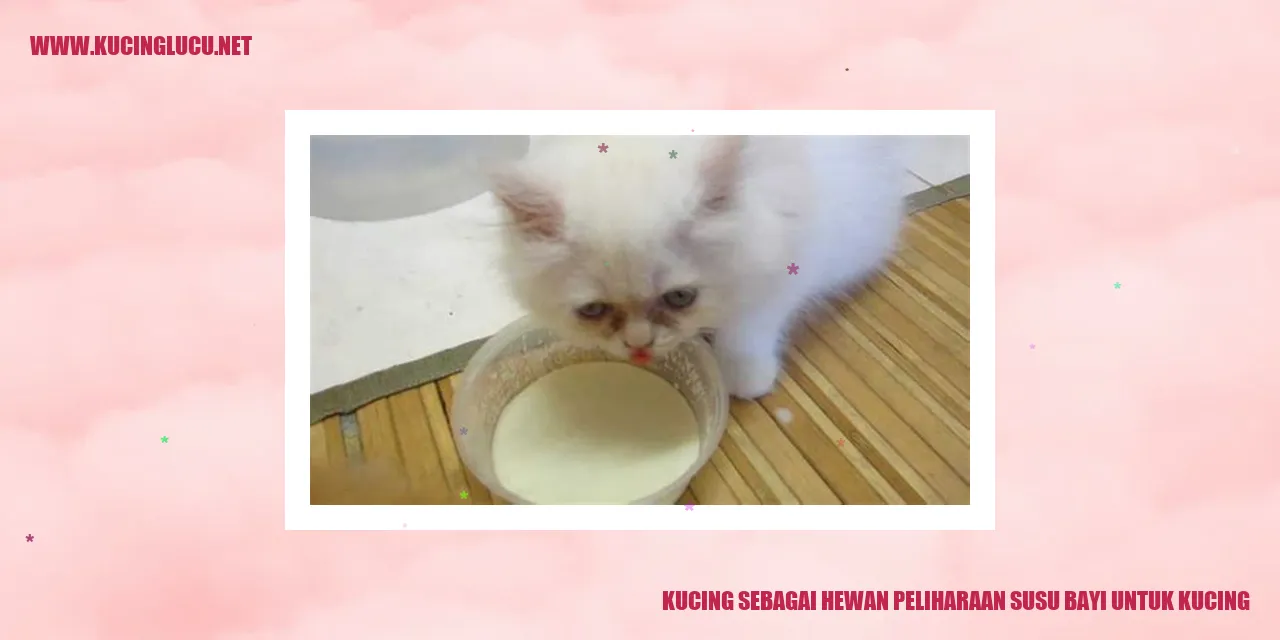 Gambar Kucing