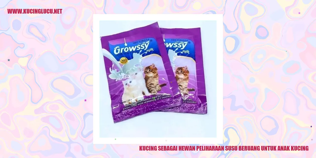 Gambar Kucing