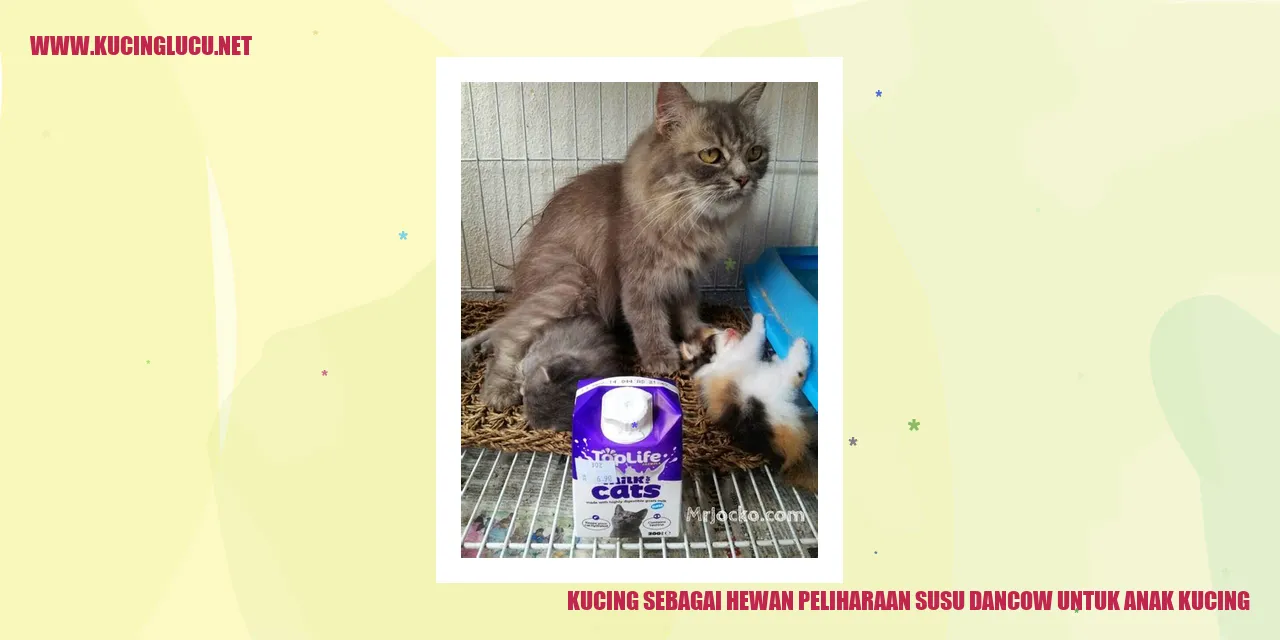Gambar kucing dan susu Dancow