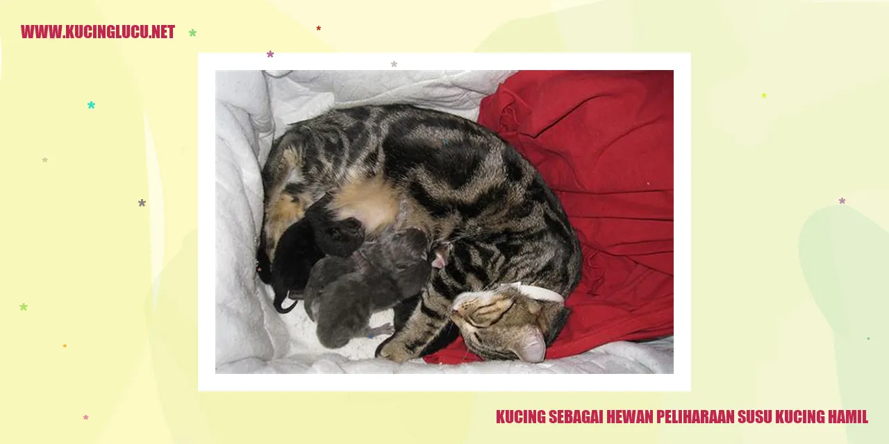 Kucing sebagai Hewan Peliharaan susu kucing hamil