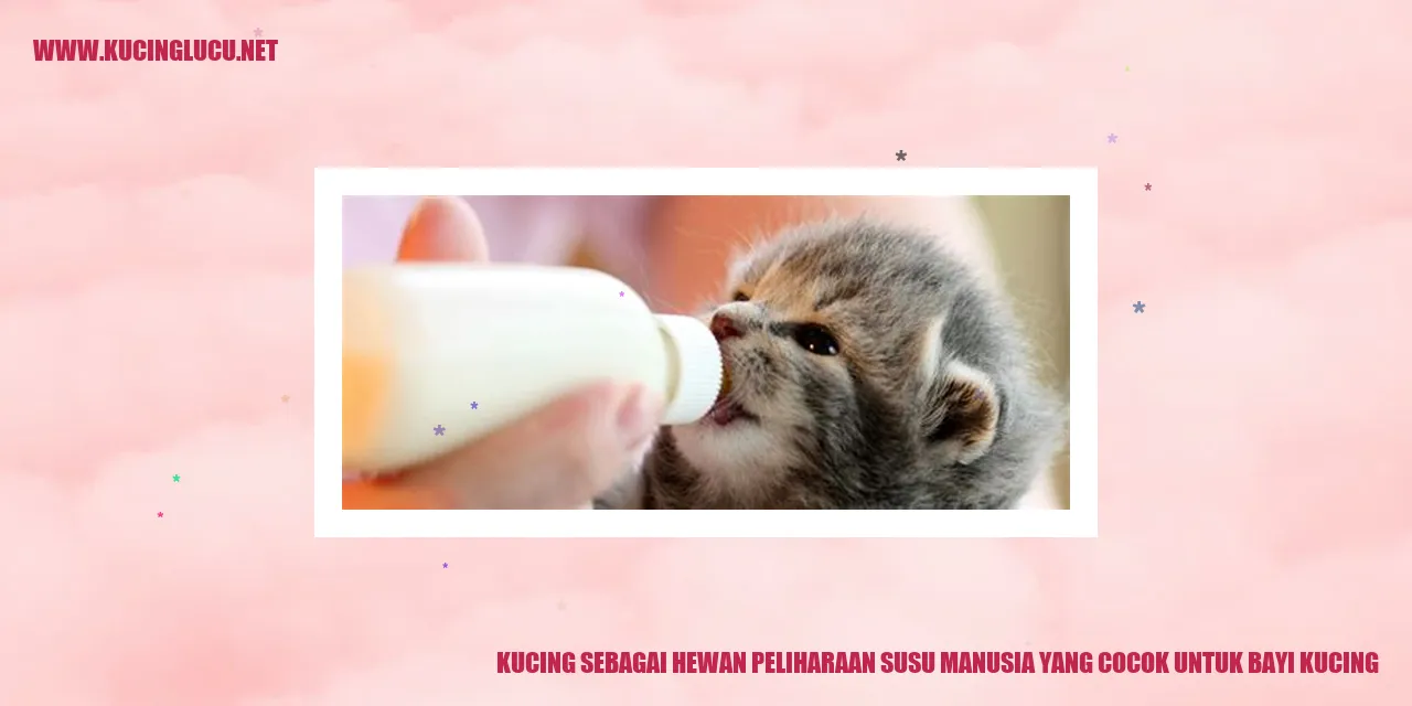Kucing sebagai Hewan Peliharaan yang Cocok untuk Bayi Kucing