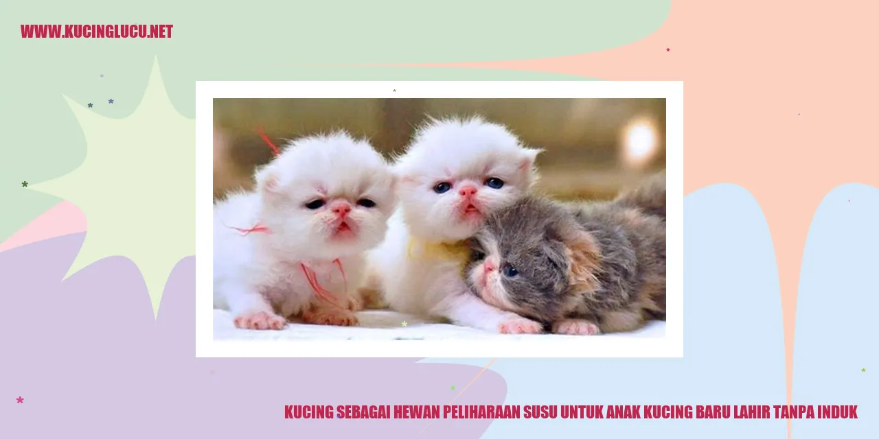Anak kucing baru lahir tanpa induk