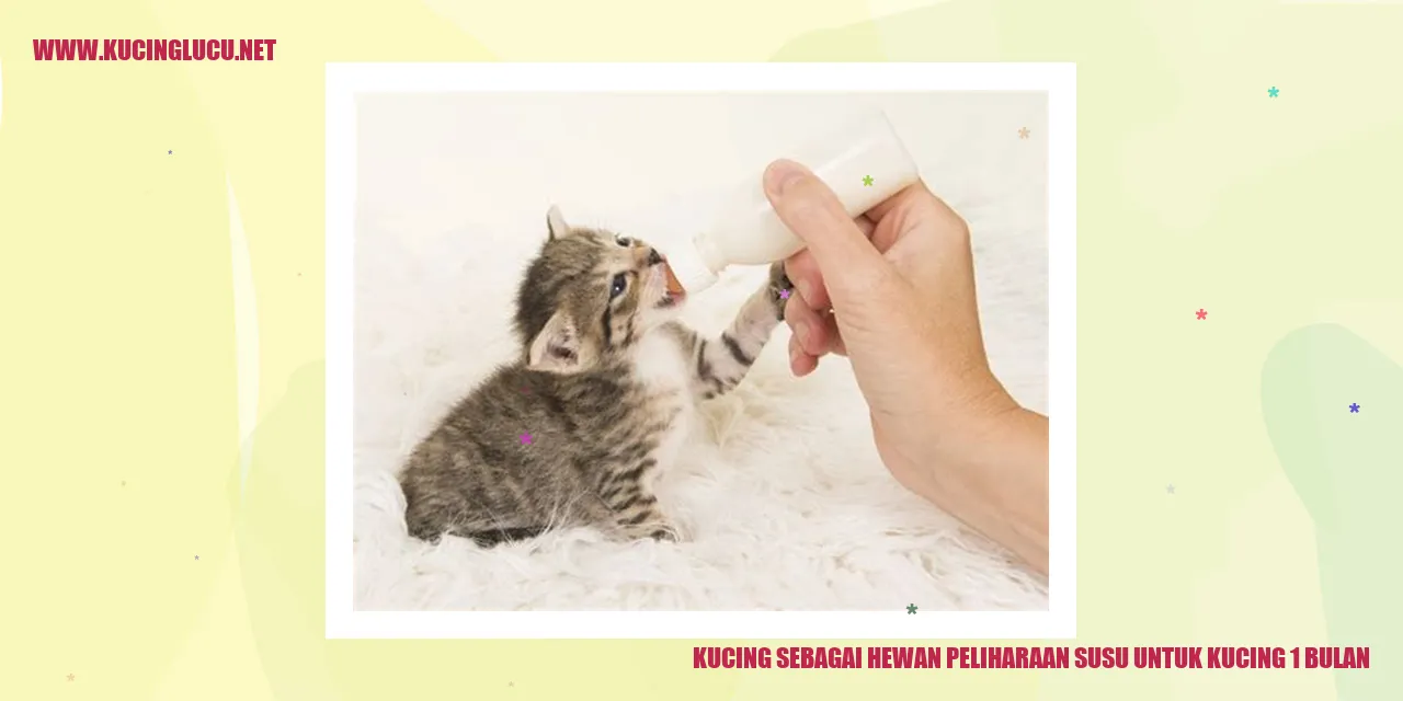 Foto Kucing Menyedot Susu