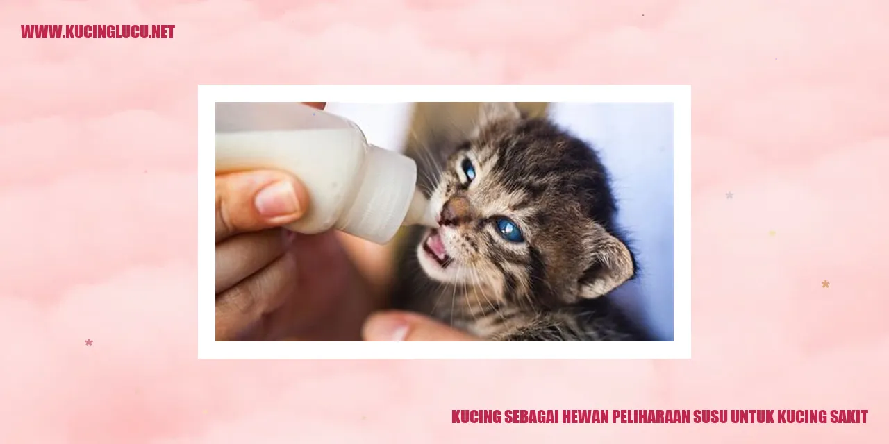 Kucing sebagai Hewan Peliharaan