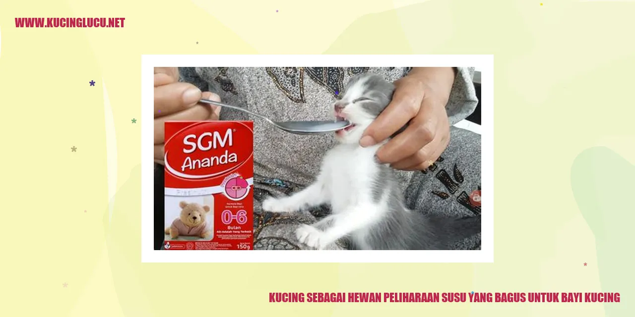 Kucing bersama bayi kucing
