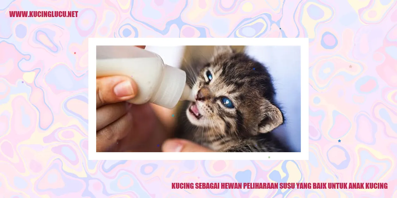 Gambar kucing dengan susu
