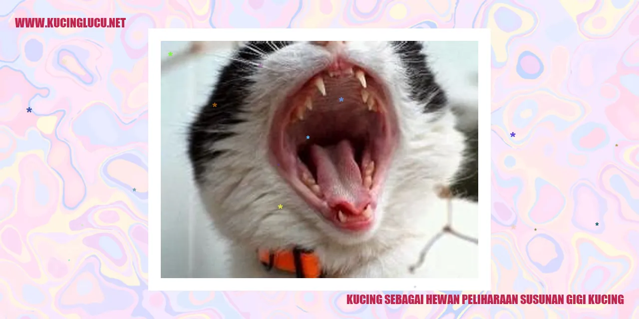 Gambar gigi kucing