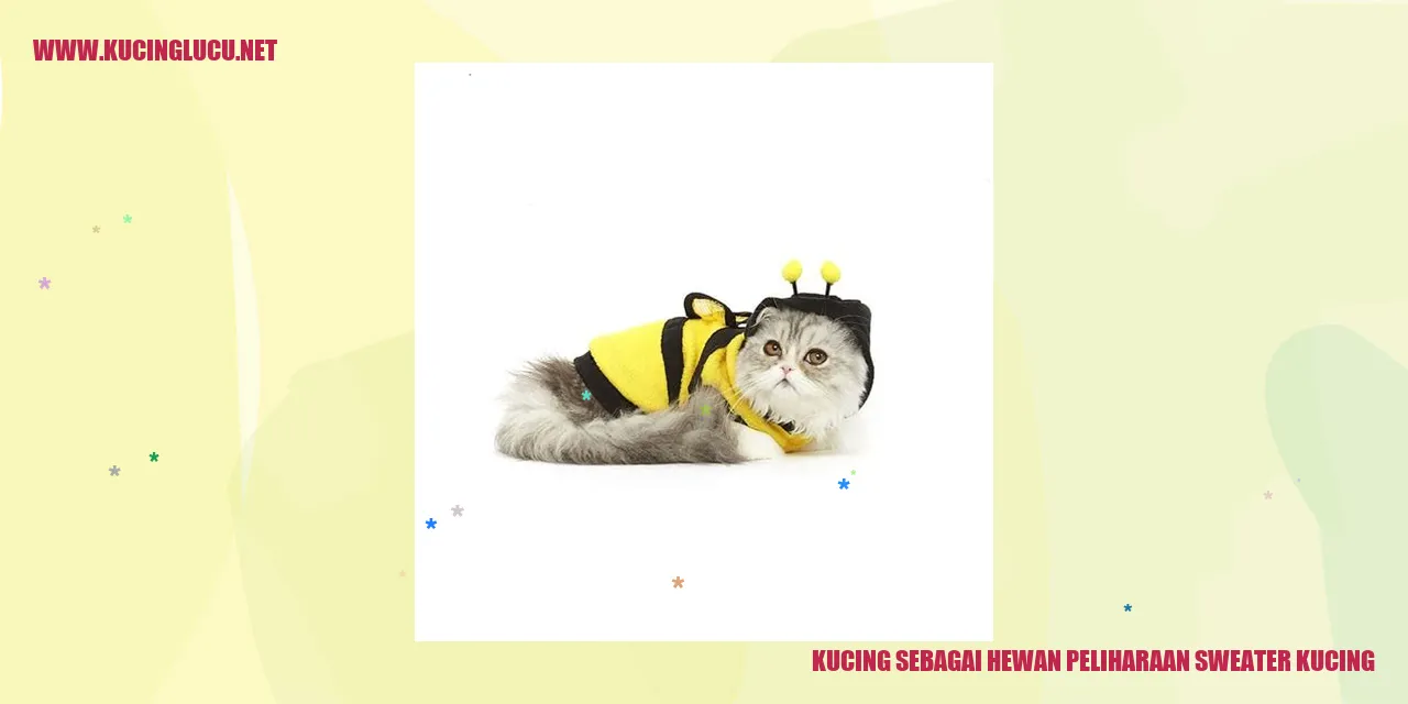 Kucing dengan sweater
