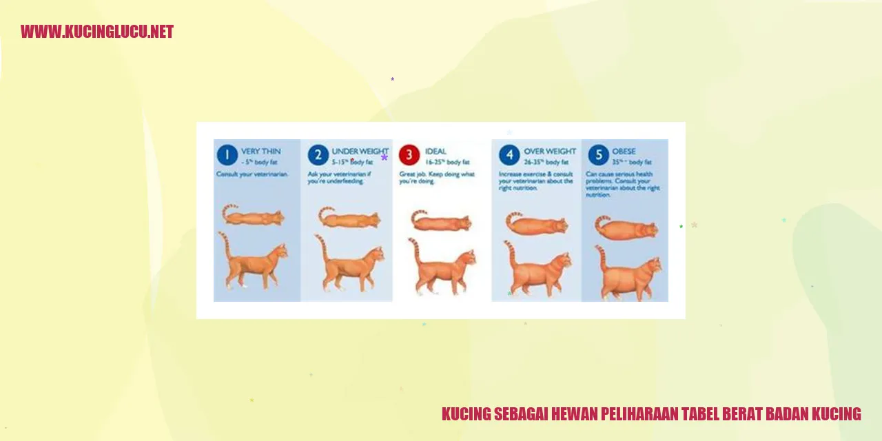 Tabel Berat Badan Kucing