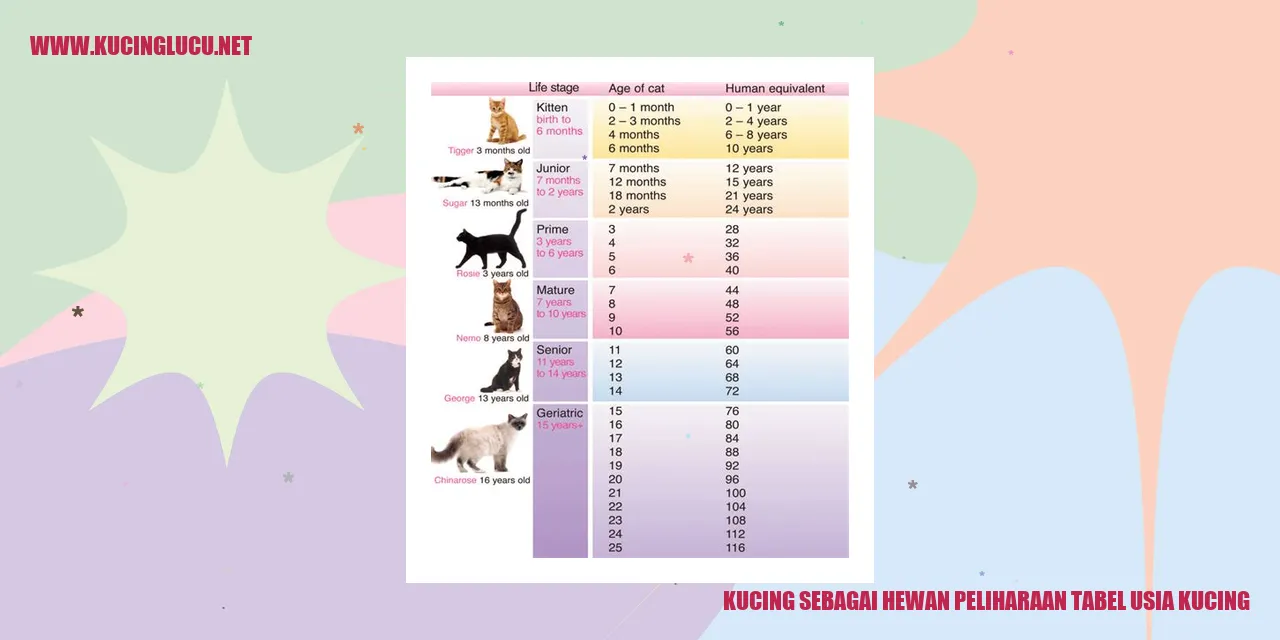 Gambar menggambarkan kucing sebagai hewan peliharaan dengan tabel perkembangan usia kucing