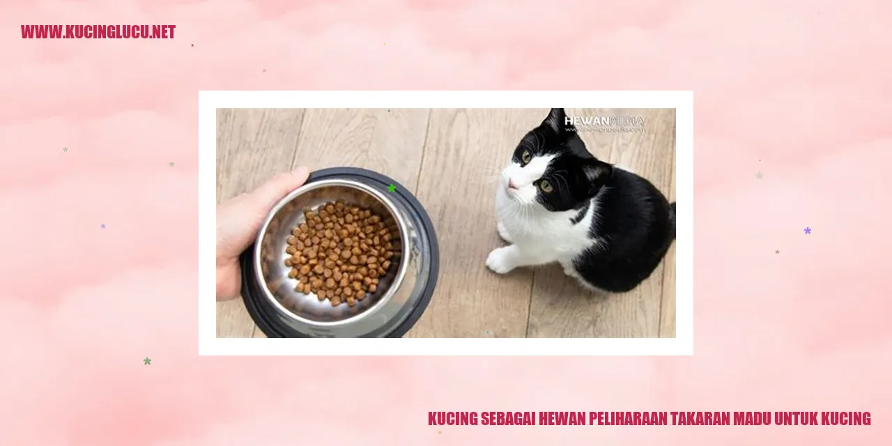 Gambar Kucing sebagai Hewan Peliharaan takaran madu untuk kucing