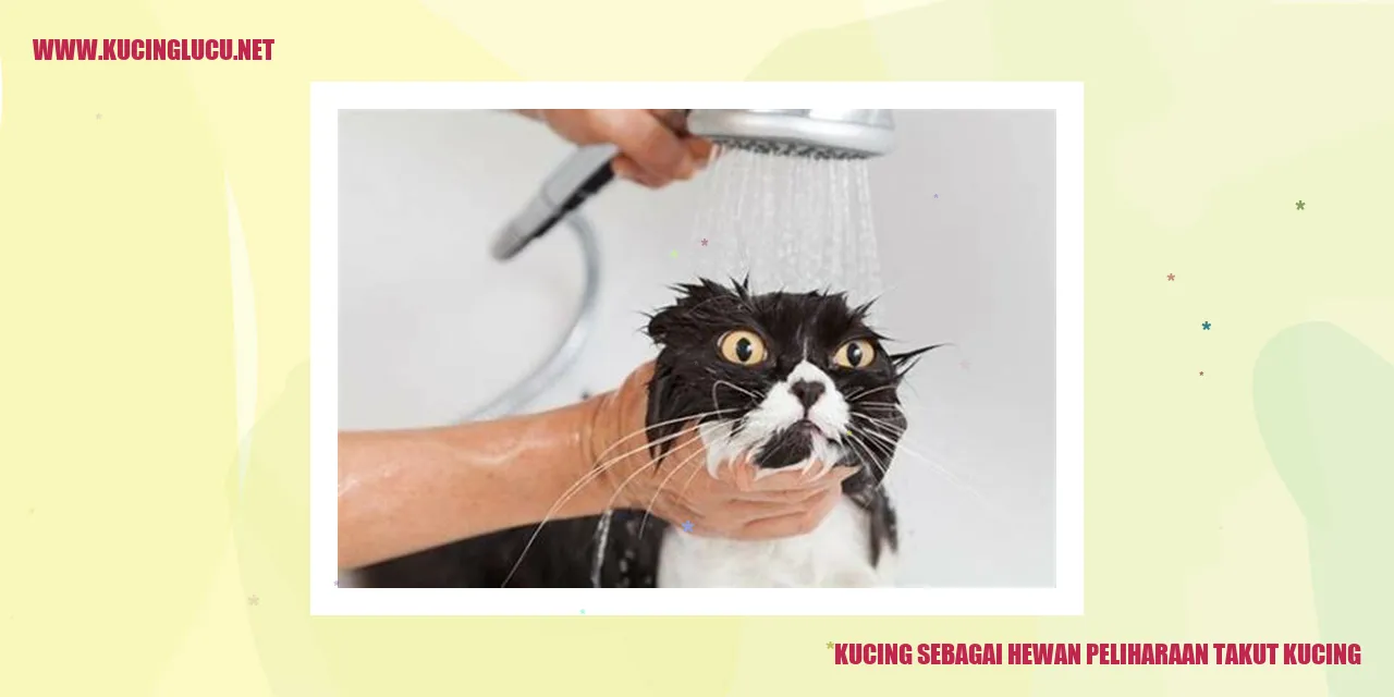 Kucing Lucu