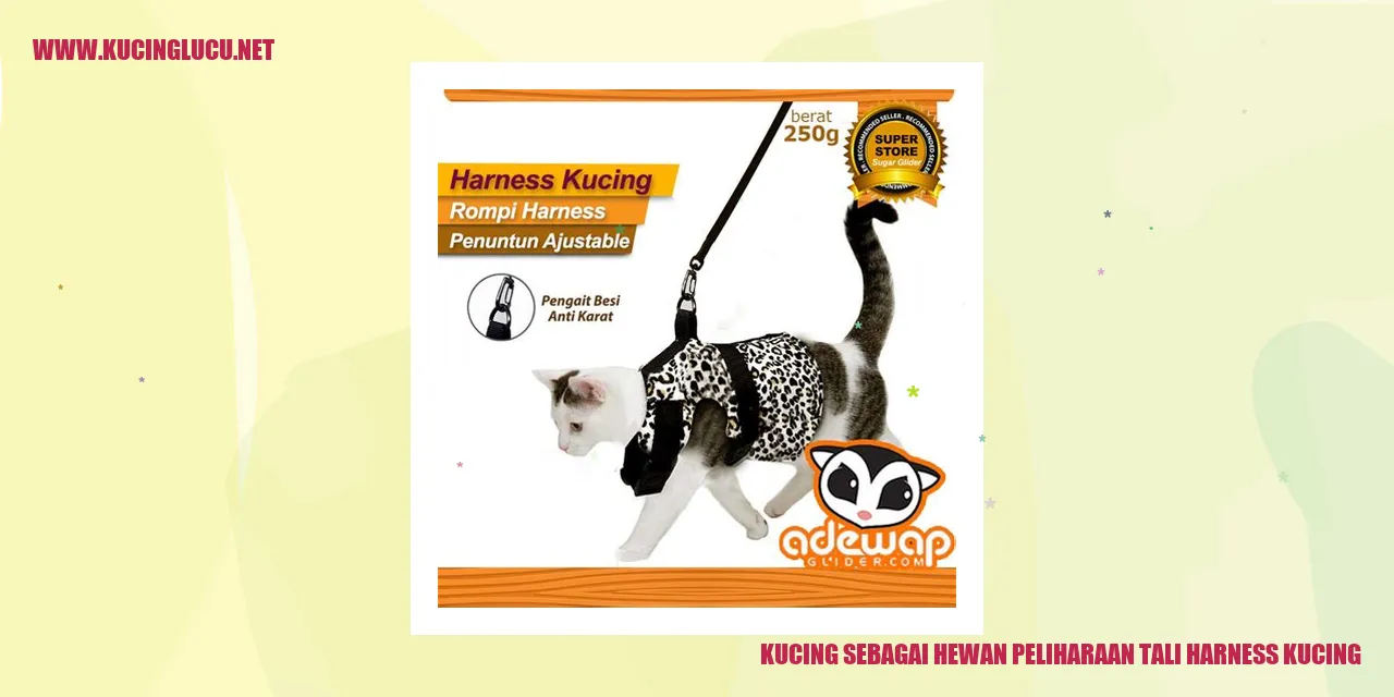 Gambar Kucing dengan Tali Harness