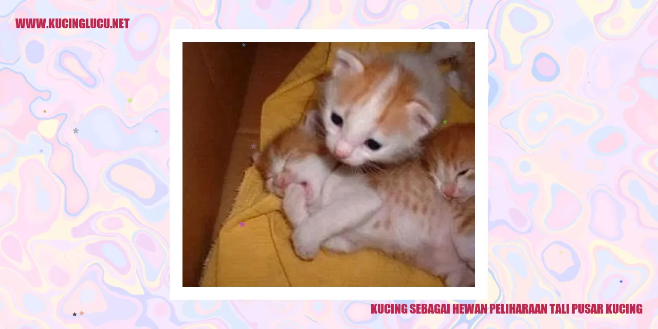 Kucing sebagai Hewan Peliharaan