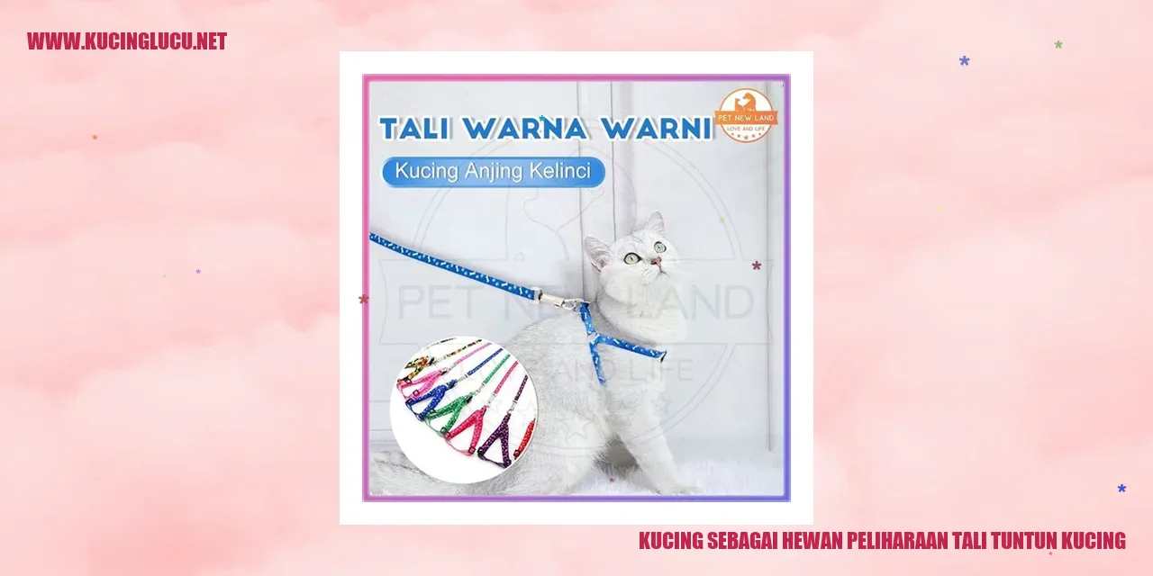 Kucing sebagai Hewan Peliharaan