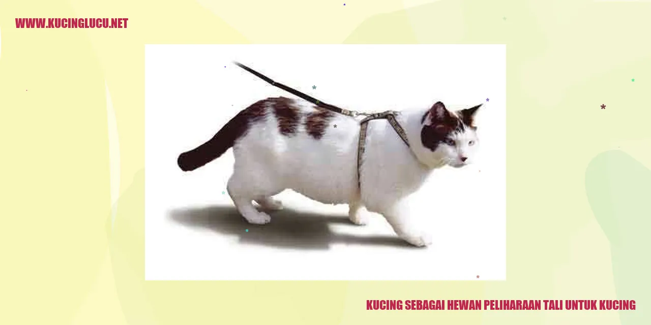 Kucing Menggemaskan