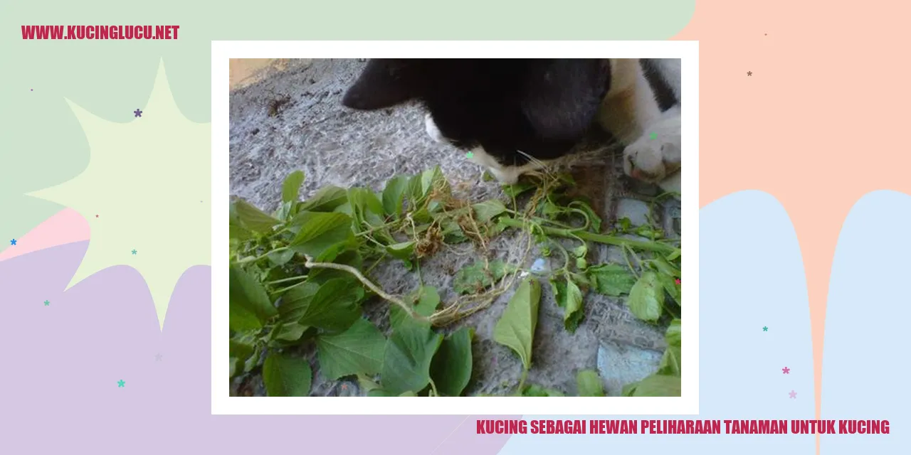 Kucing sebagai Hewan Peliharaan