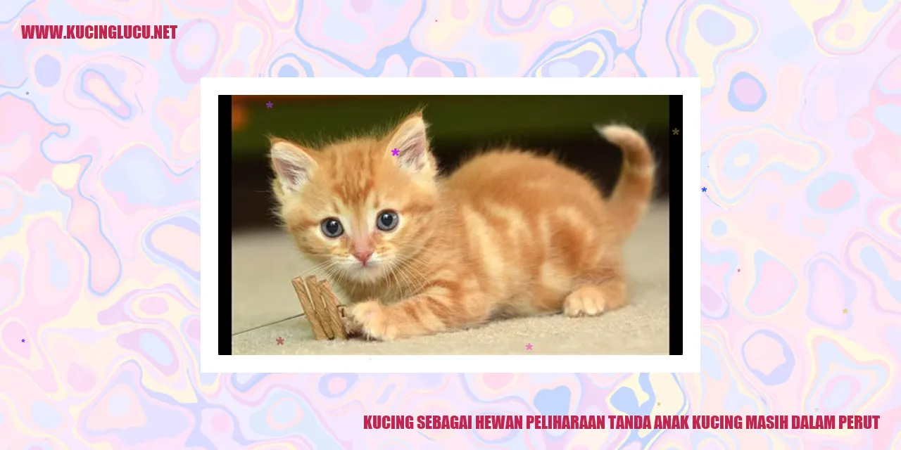 Ilustrasi kucing hamil
